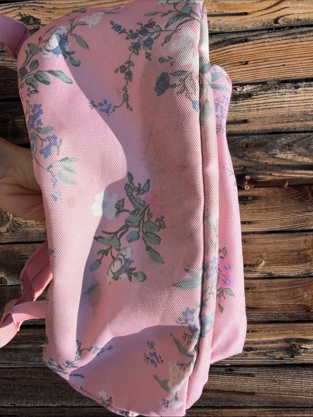 Abercrombie & Fitch Pink Floral Daypack Backpack